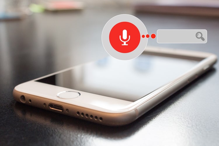 new voice search technology ecommerce